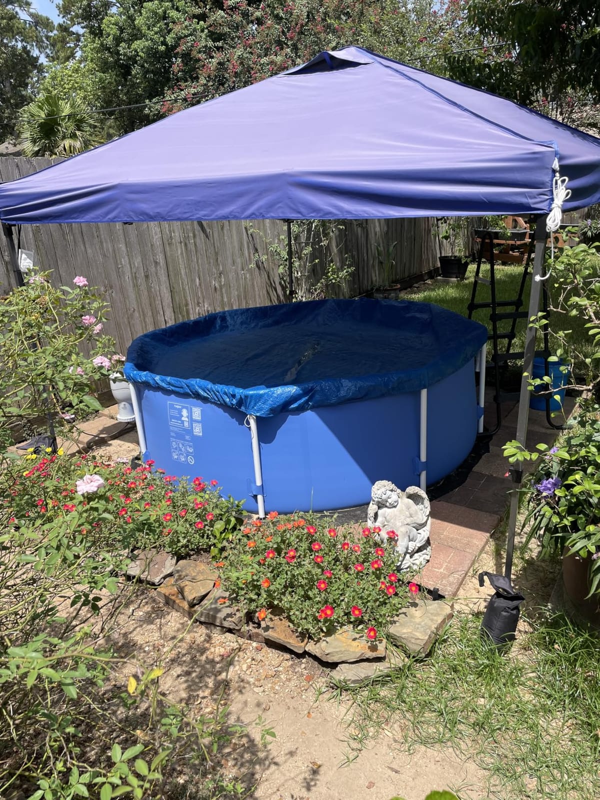 Funsicle Activity 8'x30 Above Ground Swimming Pool with Pump, Blue customer photo 1