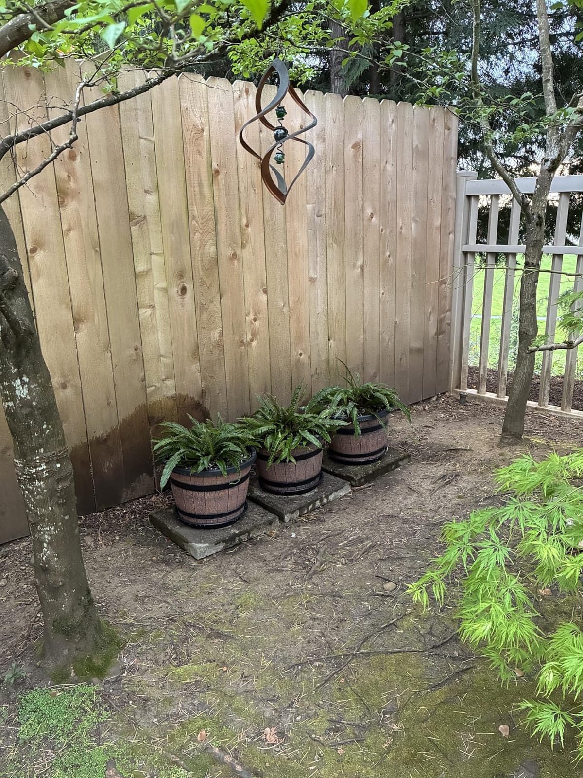 Quarut Large Plastic 3 Pack16 inch Plant Pots,Whiskey Barrel Planters with Drainage Holes & Saucer.Flower Pots Imitation Wine Barrel Design for Indoor & Outdoor Garden Balcony Plants.7 Gallons(Brown) customer photo 2