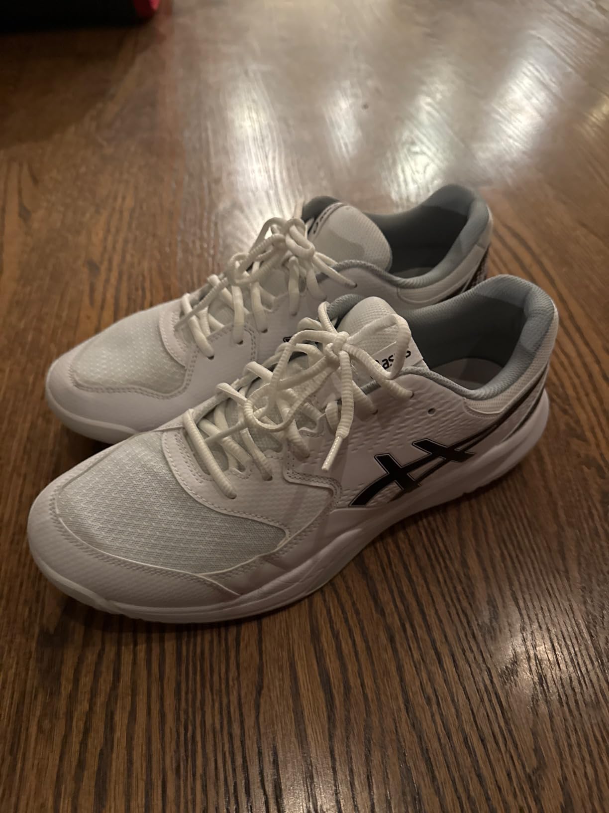 ASICS Men's Gel-Dedicate 8 Tennis Shoes customer photo 1