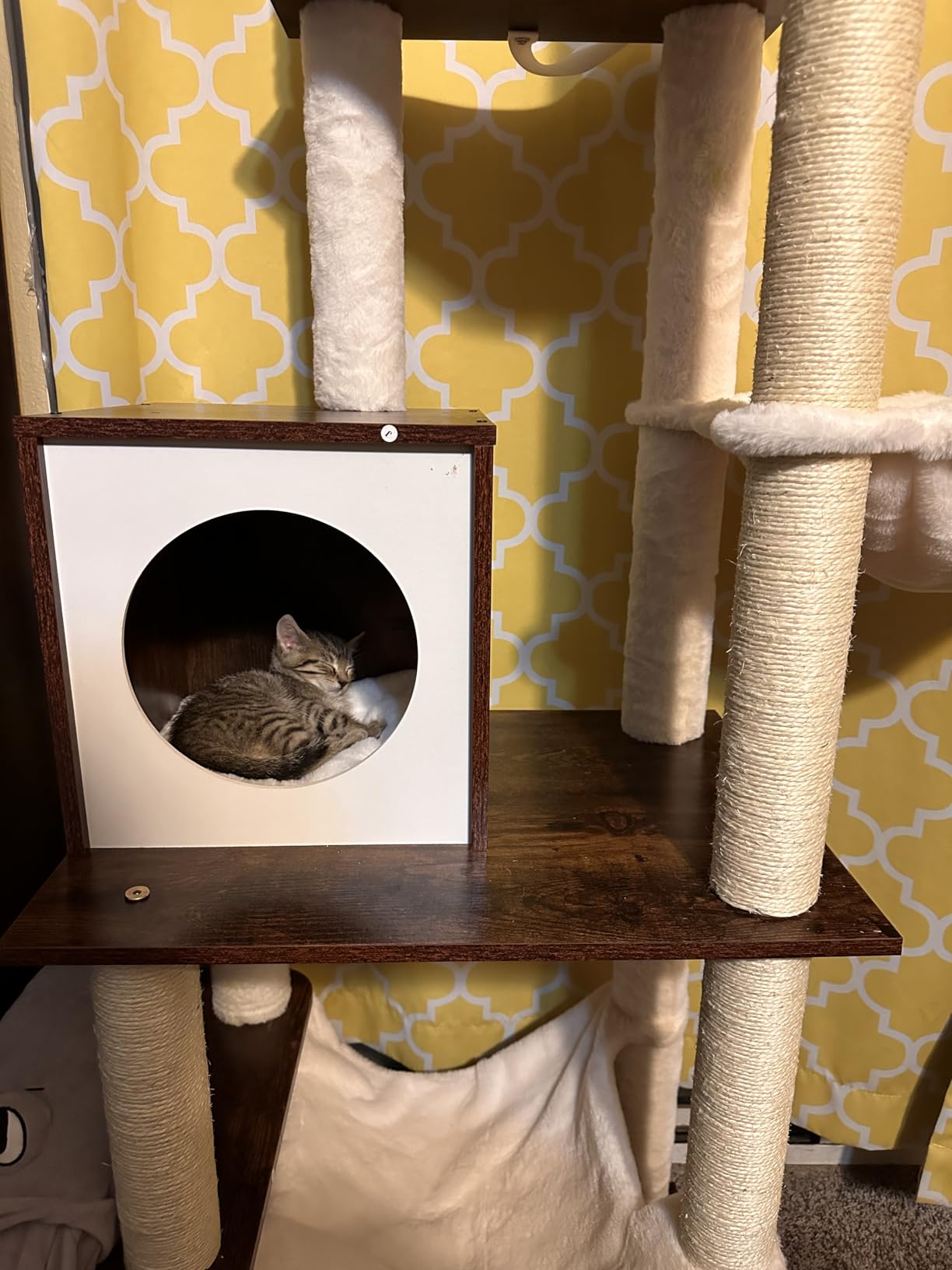 Hey-brother Wooden Cat Tree Tower with Hammock for Indoor Cats, MPJ120SR customer photo 2