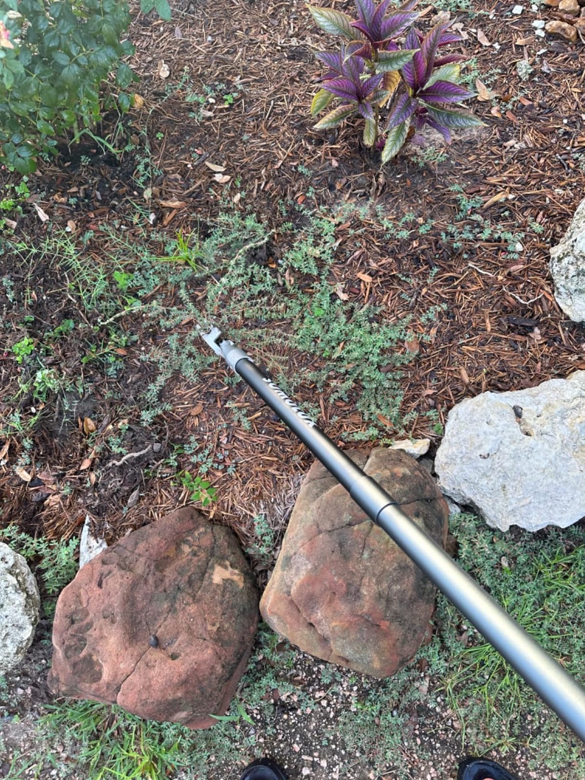 SOMOLUX 52'' Weed Puller Stand-up Weeder Weeding Tool for Gardening Heavy-duty Stainless Steel Claw with Long Metal Handle Weed Remove Tool for Lawn/Yard and Garden without Bending or Kneeling customer photo 2
