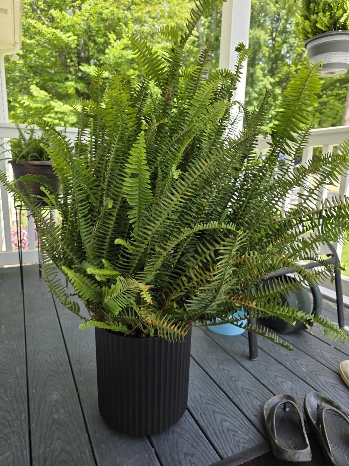 Veradek Mason Series Demi Planter - Large Round Planter for Indoor or Outdoor Patio/Balcony | Made from Plastic & Concrete with Drainage Holes | Modern Décor for Flowers, Trees, Tall Plants customer photo 2