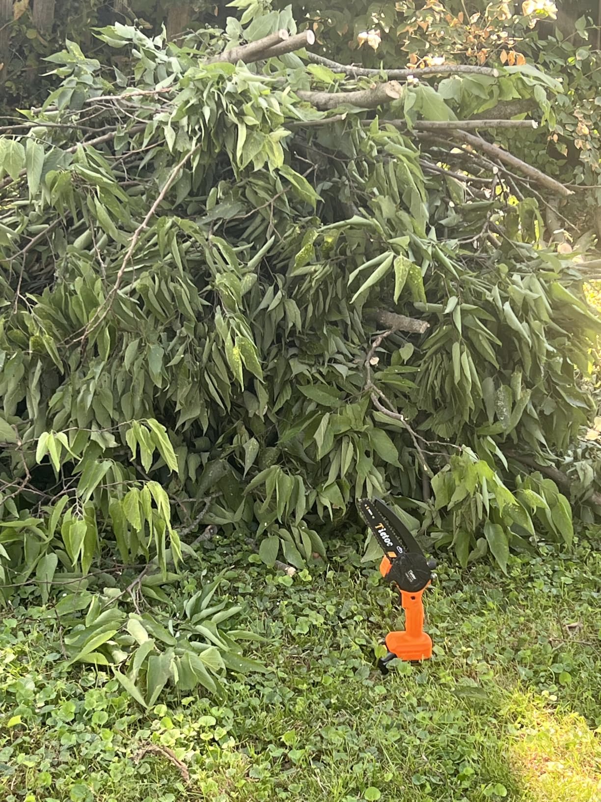 Tietoc Chainsaw 6 Inch Mini Electric Chainsaw Cordless Battery Powered, Hand Held Saw for Wood/Trees Trimming, Tools for Household and Garden customer photo 2