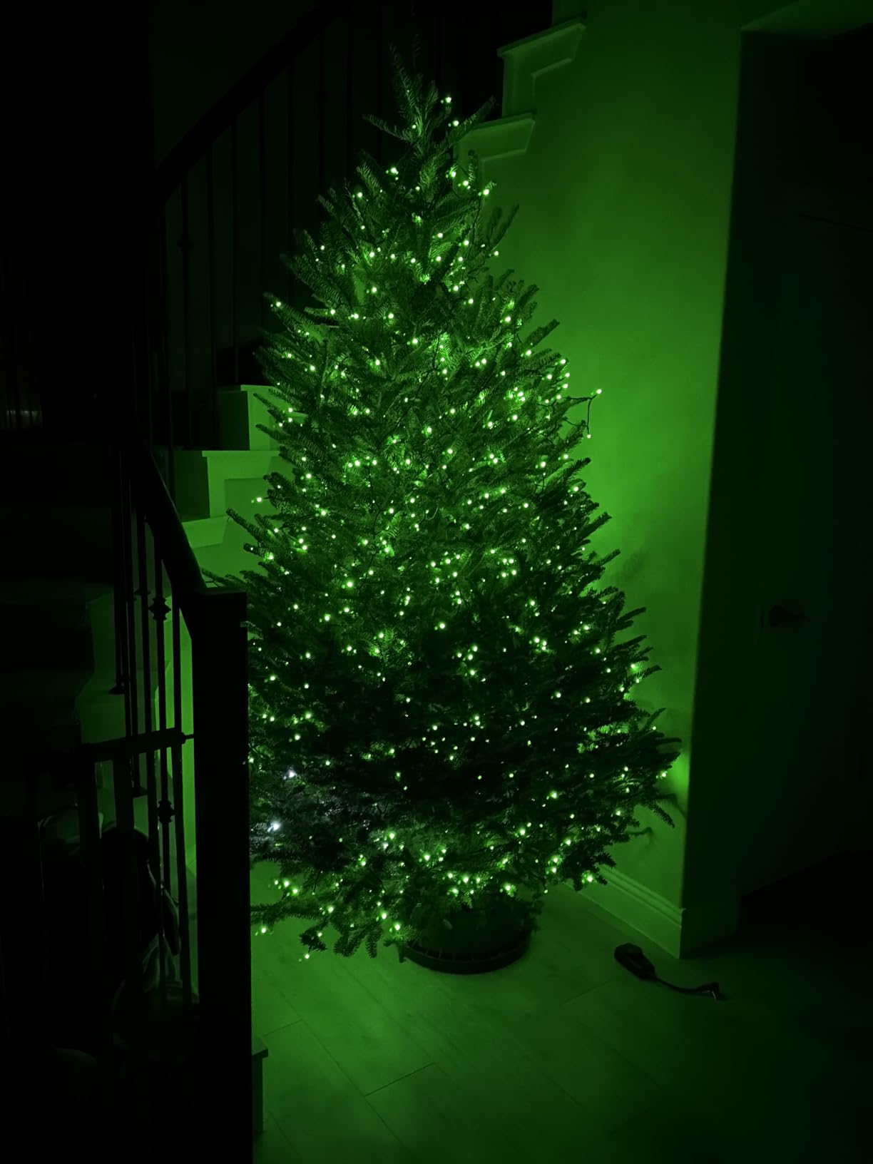 TW SHINE Christmas Lights, 200 LED 66FT Outdoor Christmas Lights Plug in with 8 Modes, Waterproof Light Outdoor, Indoor Xmas Decorations for Party Yard House Decor, Multi-Colored customer photo 1