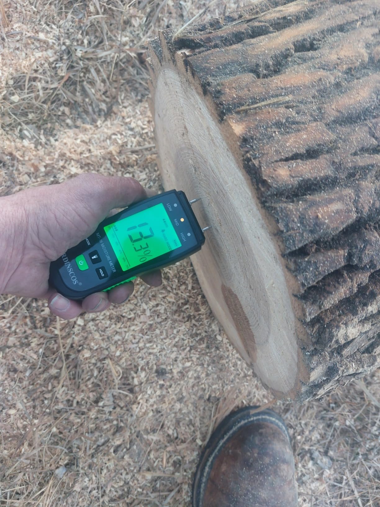 RDINSCOS Digital Moisture Meter Pin-Type Wood Moisture Detector customer photo 1
