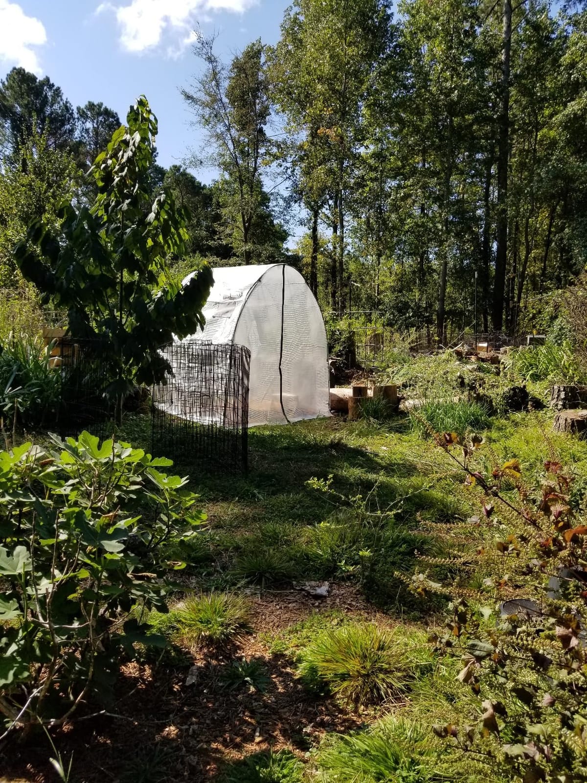 Ohuhu Portable Tunnel Greenhouse Outdoor: Heavy Duty Walk in Green House with Mesh Windows Durable Plastic PE Cover for Outside, 5.9x5.9x6.6 FT, White customer photo 1