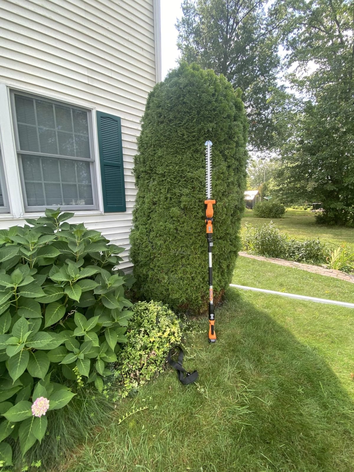 Alloyman 20V 2-in-1 Cordless Pole & Handheld Hedge Trimmer,Electric Hedge Trimmer with 2 Packs 4.0Ah Battery & Charger,8.5-Feet Reach, 11 Rotating Head Hedge Trimmers for Shrub Pruning customer photo 1