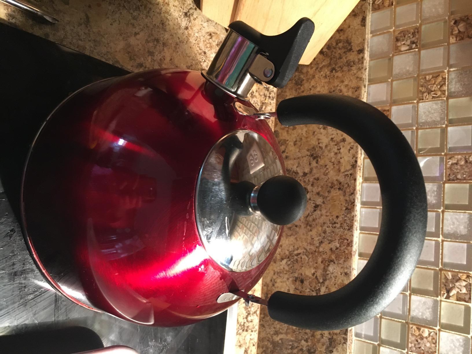 Lily's Home 2 Quart Stainless Steel Whistling Tea Kettle, the Perfect Stovetop Tea and Water Boilers for Your Home, Dorm, Condo or Apartment. (Blue) customer photo 2