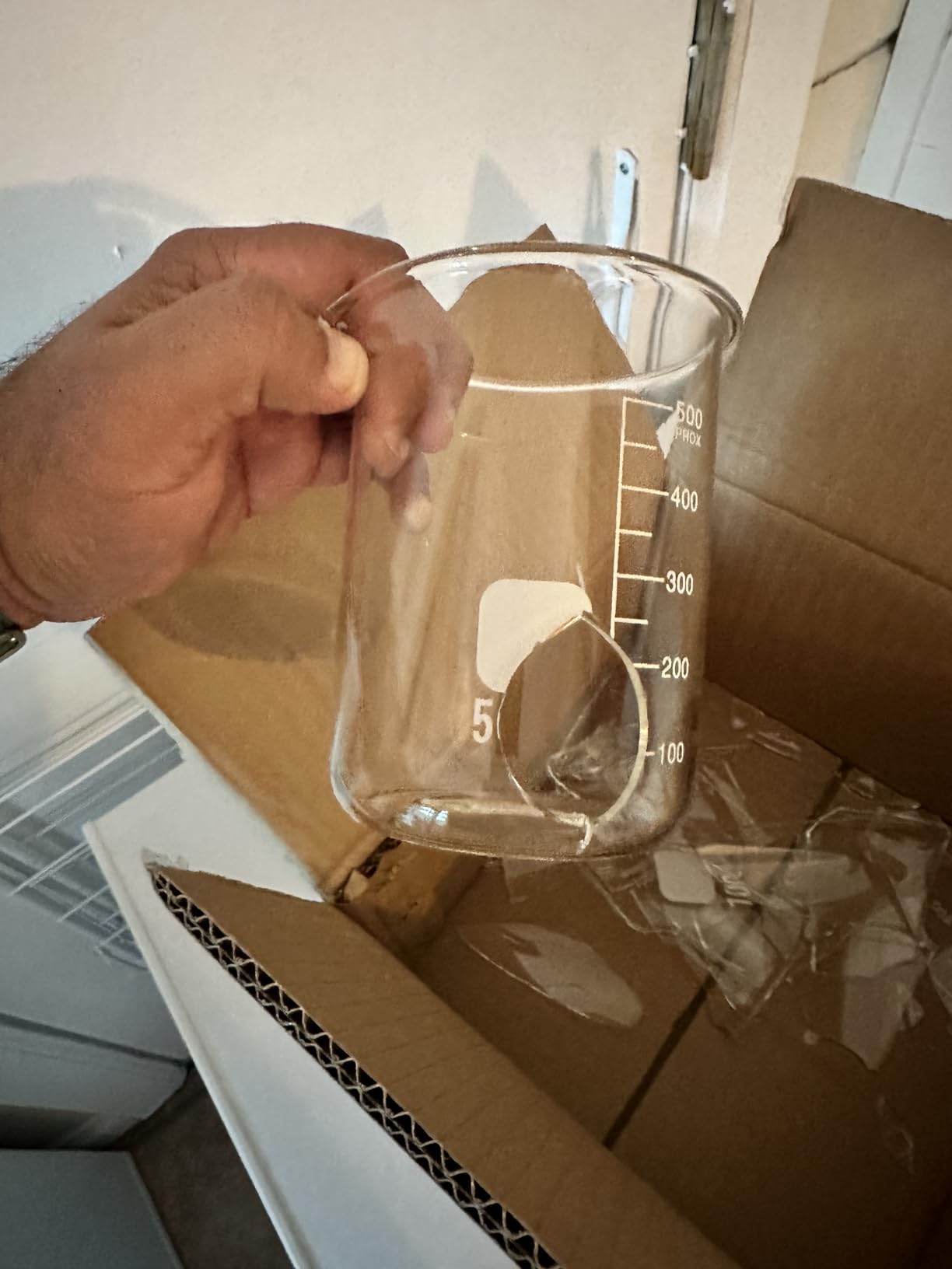 Frienda 20 Pcs 50/100/250/500/1000ml Lab Glassware Beaker Set customer photo 1