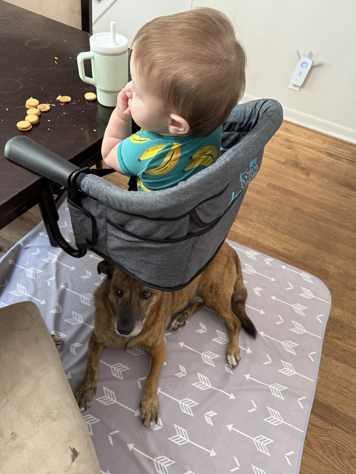 Hook-On High Chairs - Portable & Foldable for Babies 6-36 Months, Family & Travel Use with Carry Bag (Grey) customer photo 1