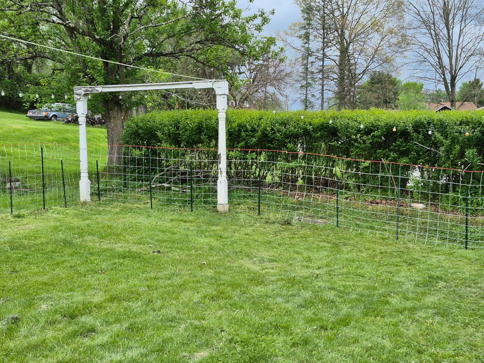 Cattle Fence 4ft x 164ft, Galvanized Farm Fence & Metal Wire Fencing customer photo 1