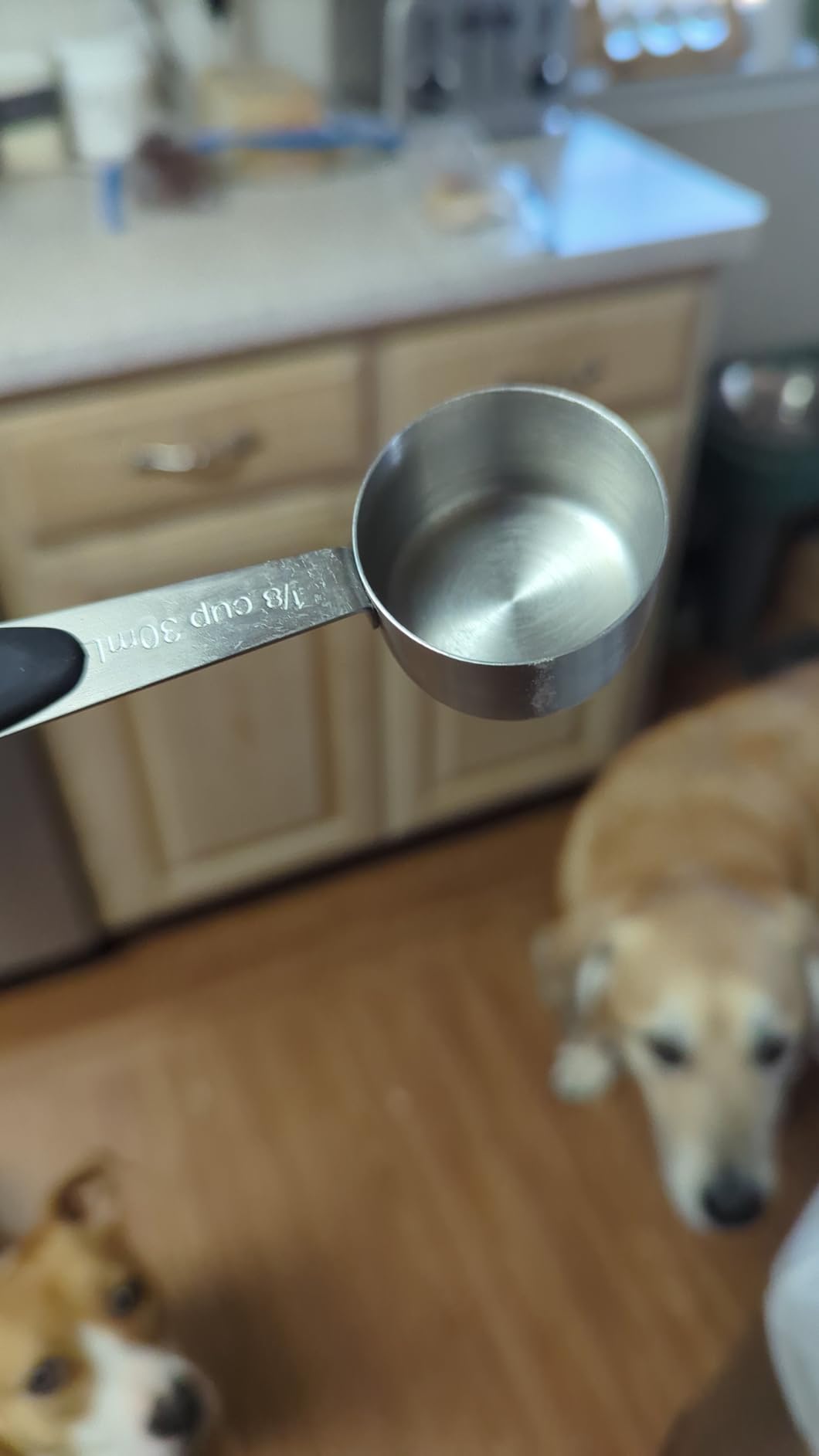 2 PCS 1/8 Cup Stainless Steel Measuring Scoops Coffee Measuring Scoop 30ML Small Coffee Scoop Measuring Cup with Black Silicone Handle Large Capacity And Comfortable Hand Feeling Tablespoon customer photo 1