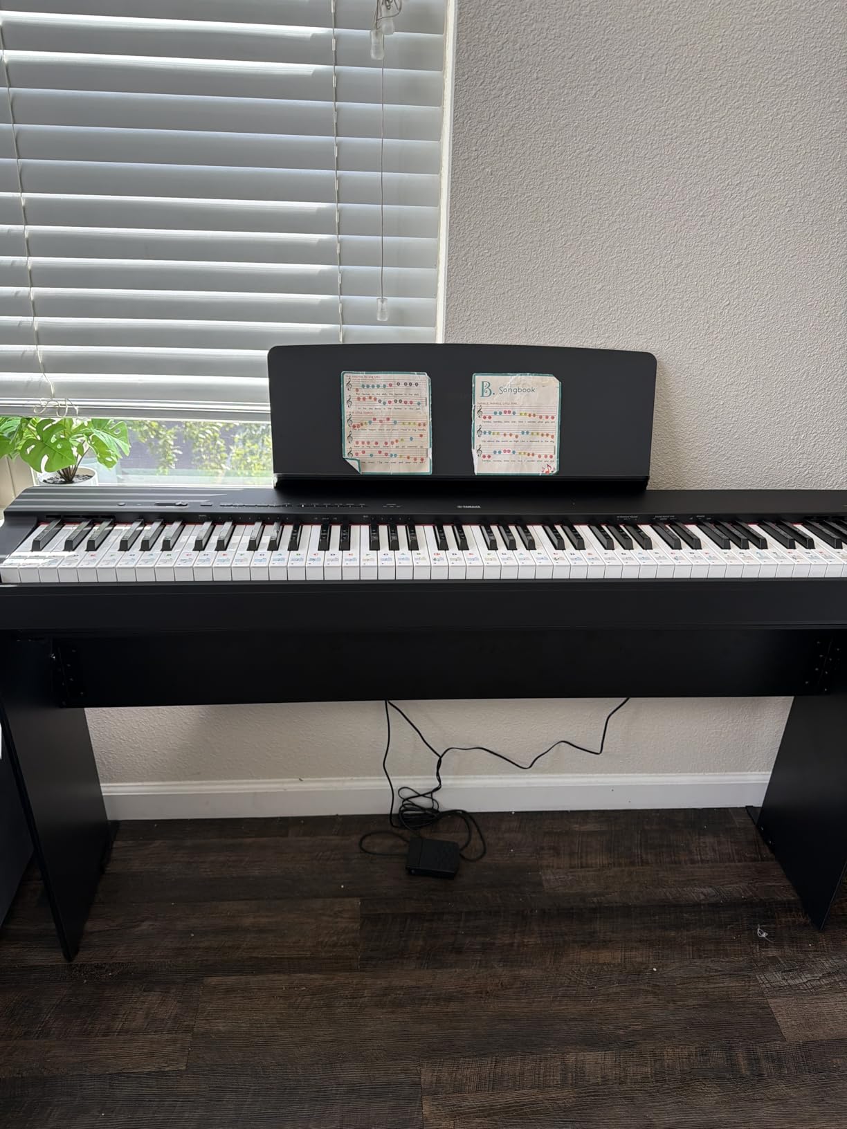 Yamaha P225 88-Key Digital Piano with Weighted Keys, Portable Design, Music Rest, Sustain Foot Switch, and Built-In Speakers, Black customer photo 2