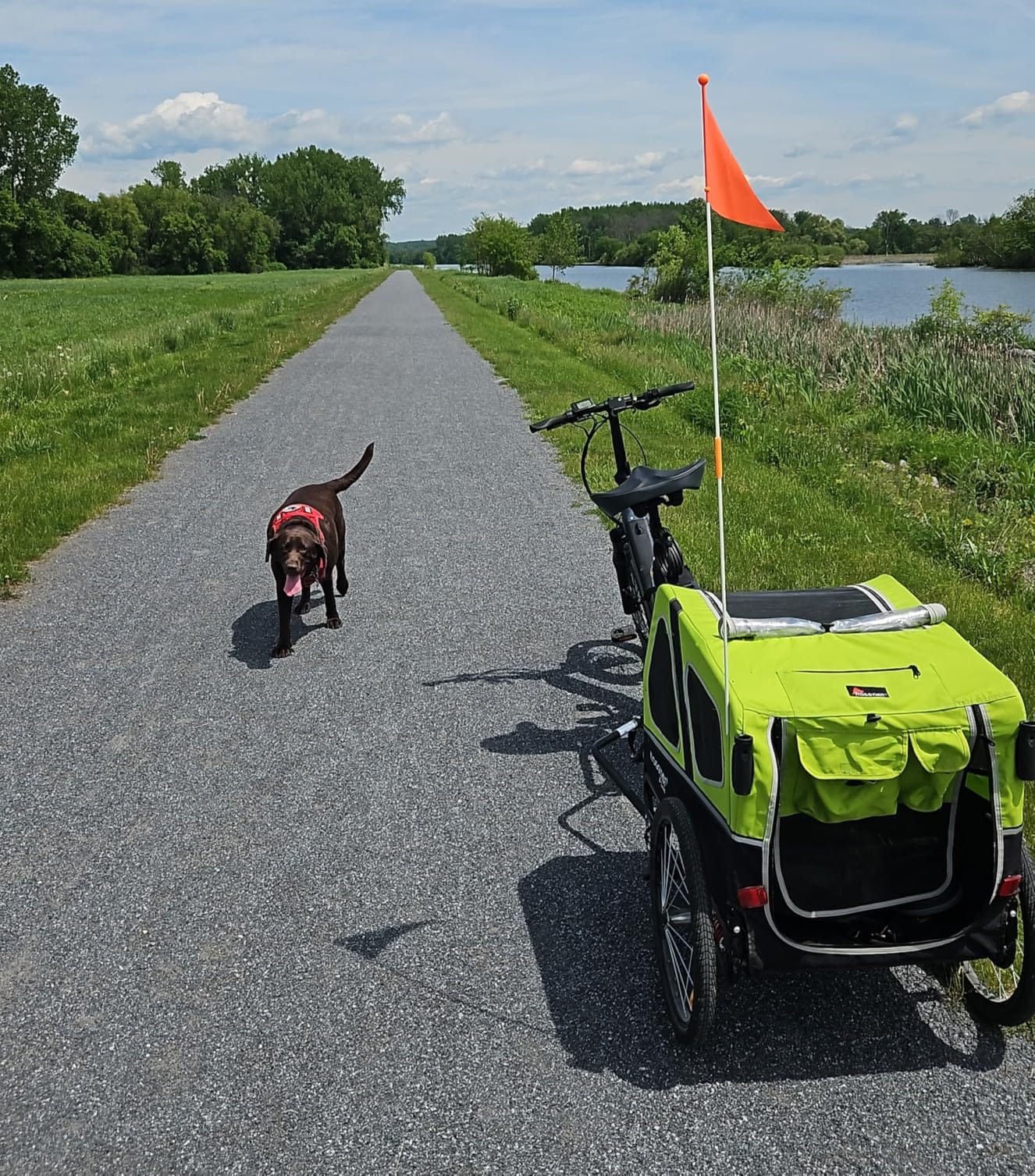 DOGGYHUT® S-Line XL Pet Bike Trailer & Stroller for Large Dogs Up to 100 lbs, Folding Dog Cart with Shock-Absorbing Suspension Wheels, Low Center of Gravity, Parking Brakes customer photo 1