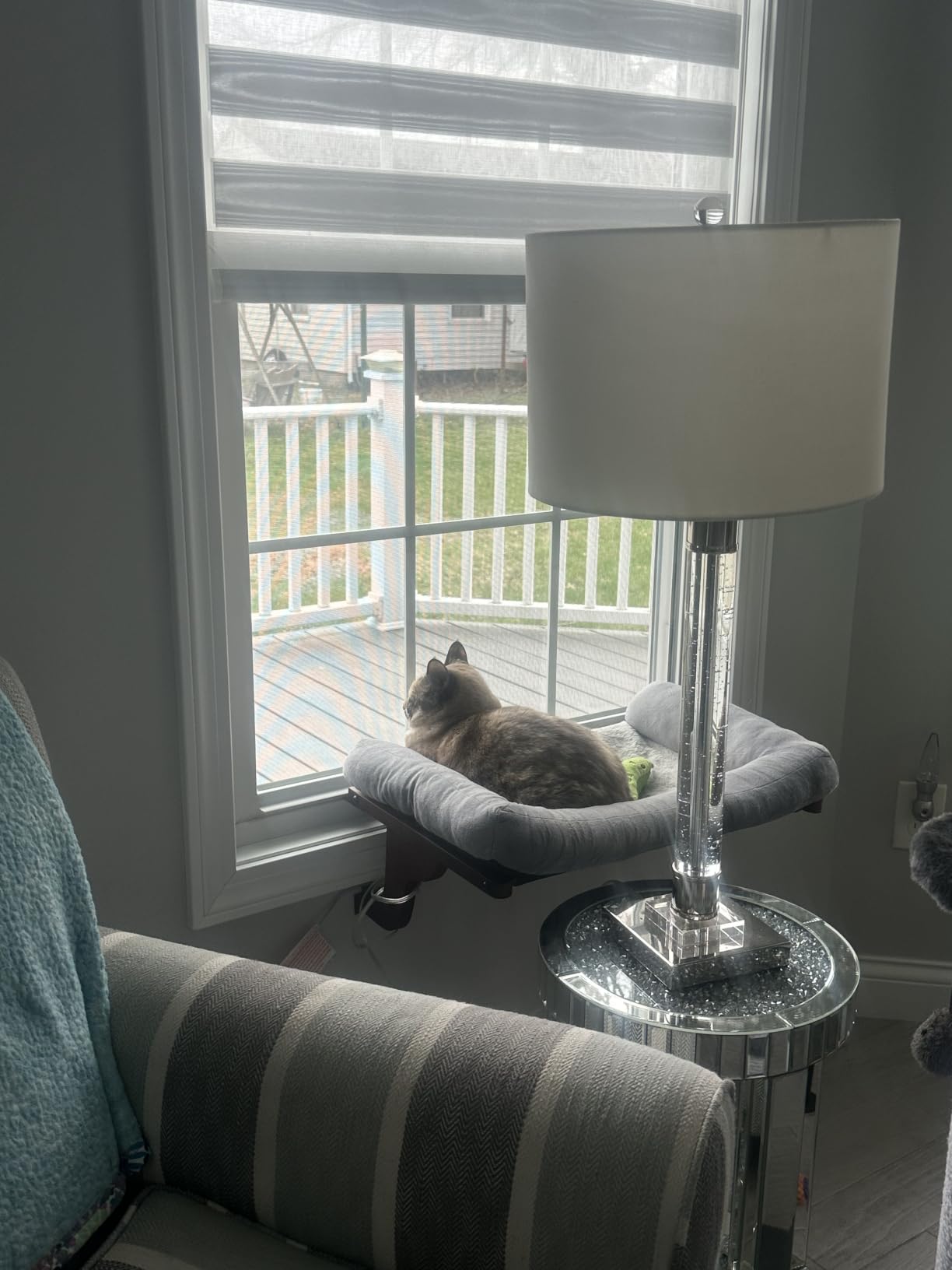 Zakkart Cat Perch for Windowsill with Bolsters (Natural Wood/Gray, L) customer photo 1