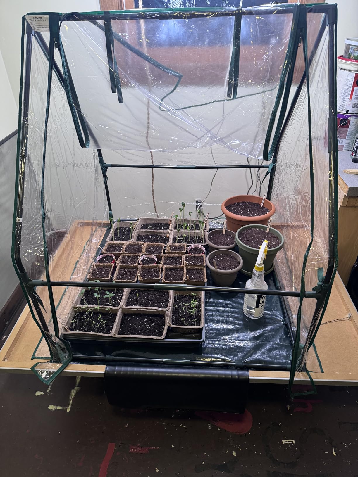 Mini Greenhouse for Indoor Outdoor: Ohuhu Tabletop Portable Green House with Waterproof Pad for Small Plants Nursery Germination, 36