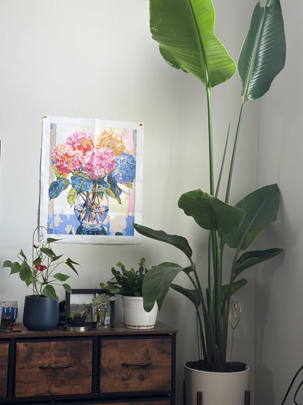 Tucocoo Hydrangea in Glass Vase Window Landscape Paint by Numbers for Adults Beautiful Flower DIY Paint by Numbers Acrylic Paint Canvas Colorful Flowers Painting Kits Art 16x20 Inch（Without Frame） customer photo 1