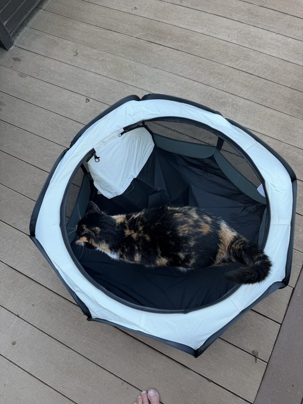 Siedihit Dog Cat Playpen, Puppy Pet Playpen Indoor for Small Dog Crate Tent Cage Outdoor, Portable Pop Up Dogs Enclosure Kennel with Carrying Case for Dogs/Cats/Rabbits(Grey, Small customer photo 1