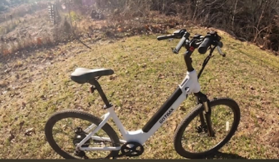Gotrax Dolphin 26