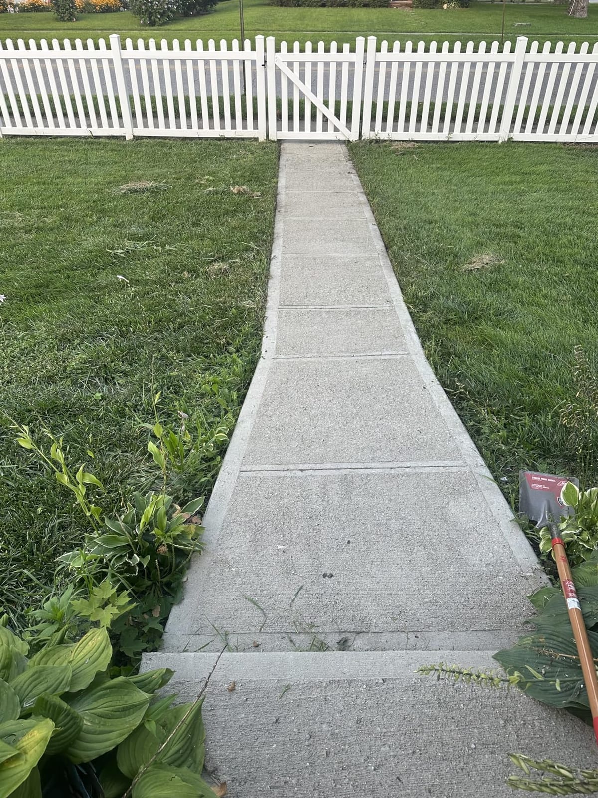 Greenworks 80V 8 in Cordless Electric Lawn Edger, Tool Only customer photo 1