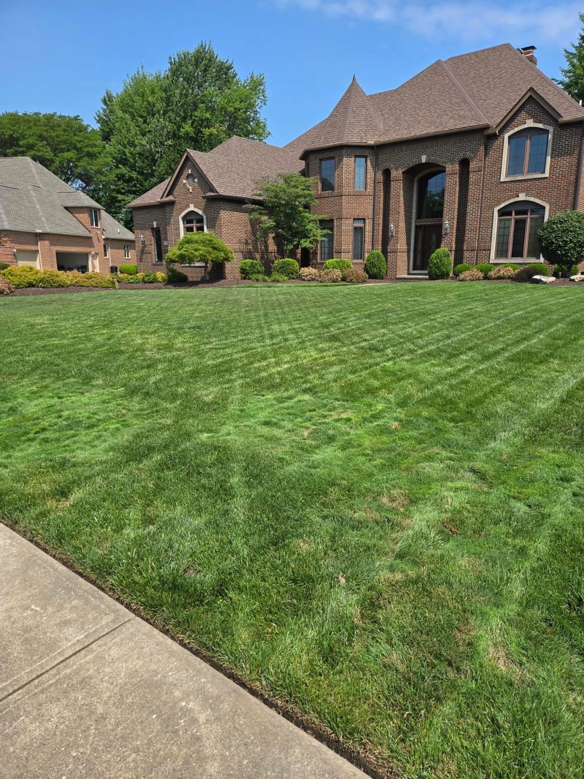 Greenworks 80V 8 in Cordless Electric Lawn Edger, Tool Only customer photo 2