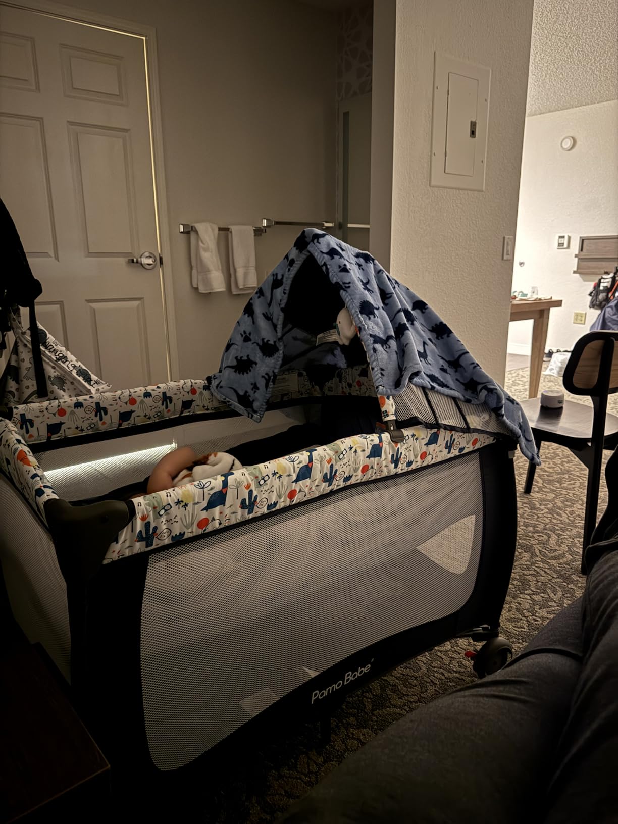 Pamo Babe Baby Playard with Canopy, Portable Crib with Changing Table customer photo 2