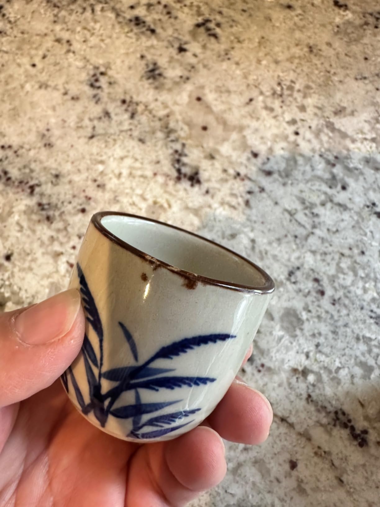 Ceramic Sake Set, 5pcs Japanese Saki Set with 1 Sake Carafe 4 Sake Cups, Saki Cup Set as Gift for Sake Japanese Wine/Hanzo Sake/Soju/Sake Drink/Saki Drink/Tea (Inaho) customer photo 1