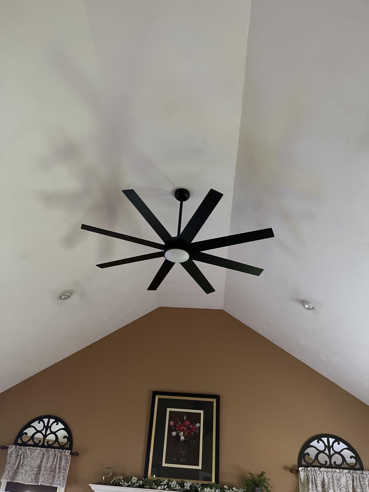 Fanbulous 65 Inch Black Ceiling Fans with 3CCT Lights and Remote customer photo 1