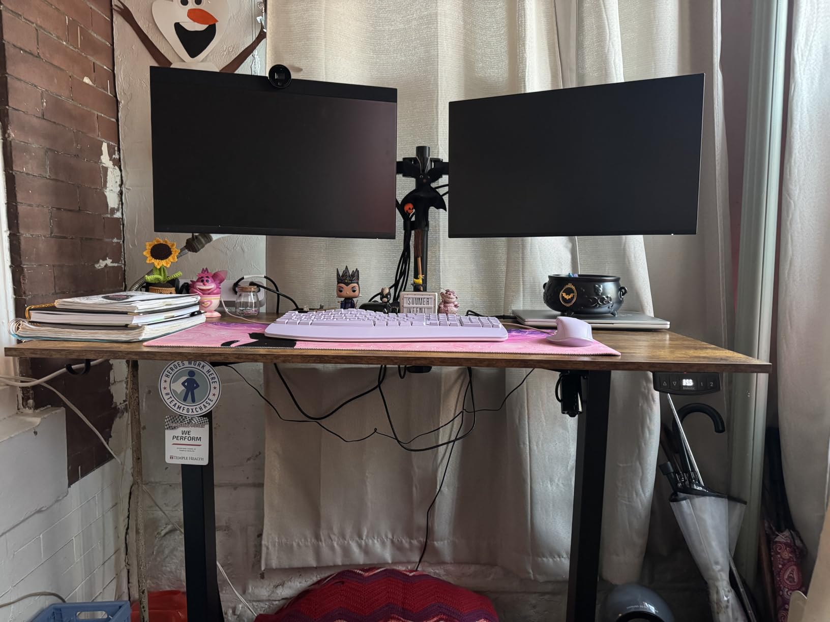 Agilestic 48x24 Inch Height Adjustable Electric Standing Desk, Rustic Brown | Sit Stand Up Computer Desk, Memory Presets, Stable Steel Frame, 176lbs, Easy Assembly, Home Office customer photo 1