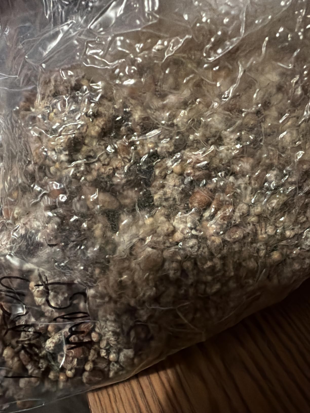 Myco Labs Premium 5-Grain Mushroom Spawn Bags | Sterilized Grain Spawn | Injection Ports | 2 Quarts Each Bag | 2 Bags per Box customer photo 2