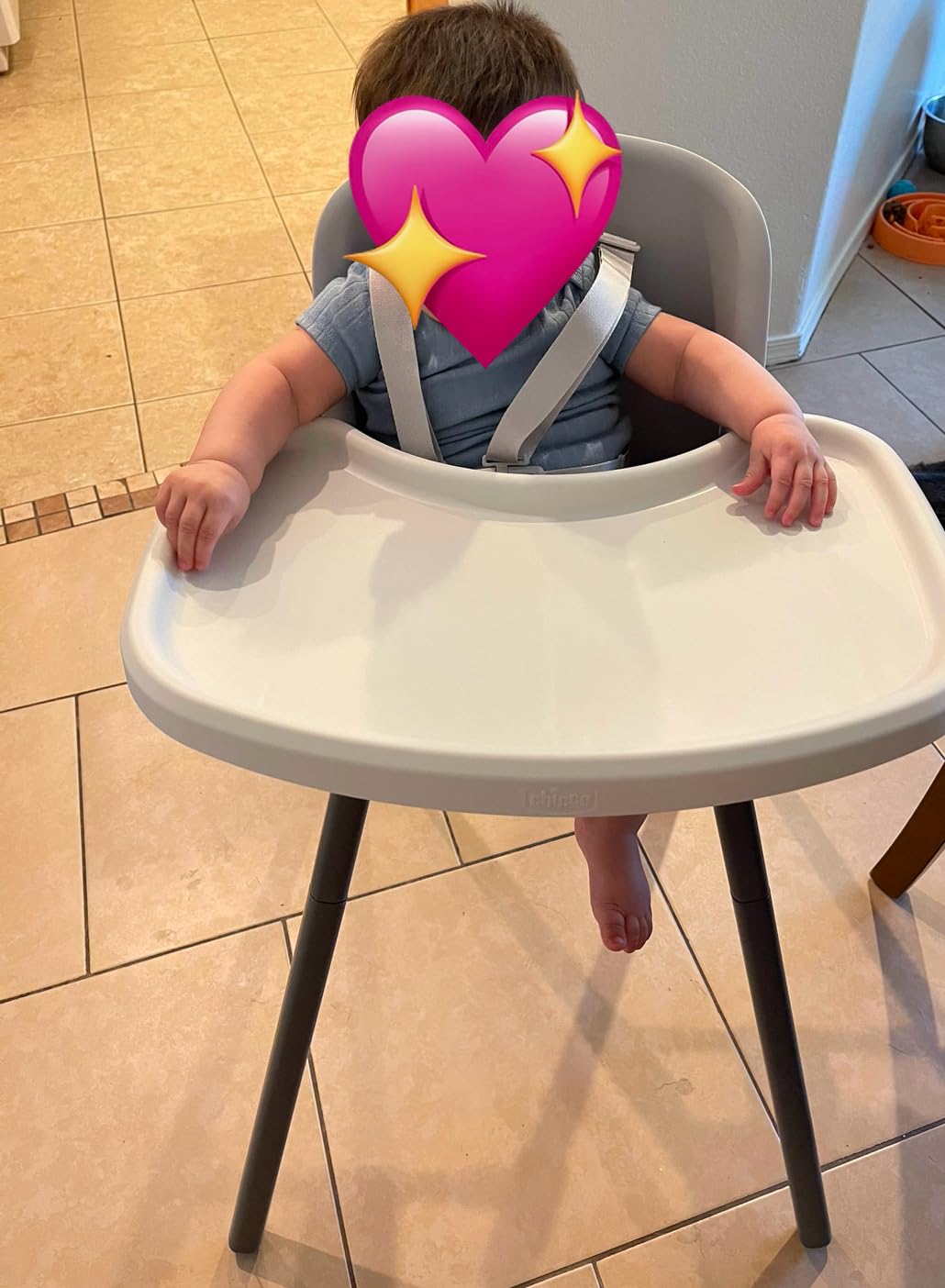 Chicco Zest 4-in-1 High Chair, Feeding Chair, Toddler Chair, Youth Stool customer photo 1