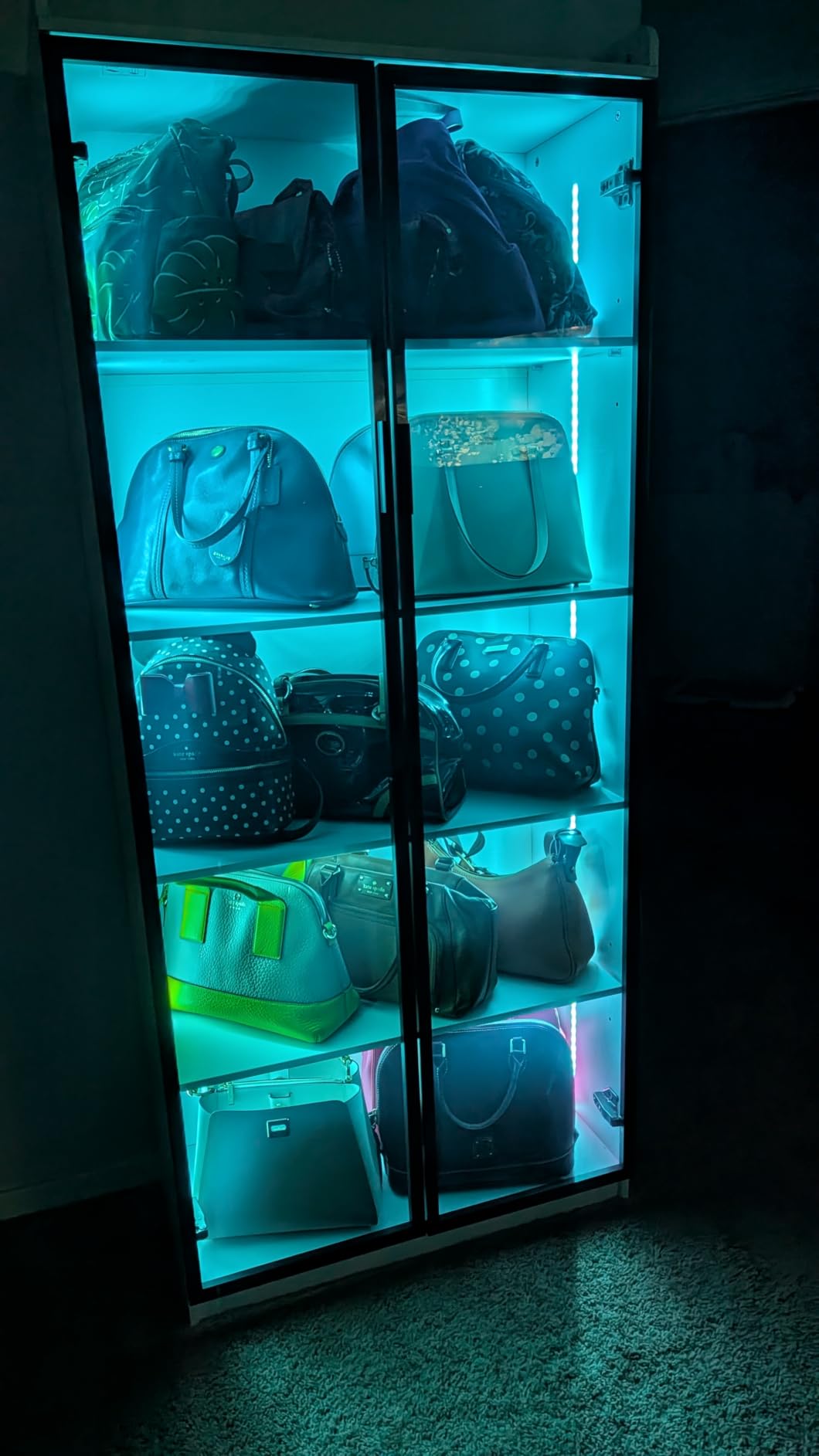Dystler 5-Tier Display Cabinet with Glass Doors and Adjustable Shelves customer photo 1
