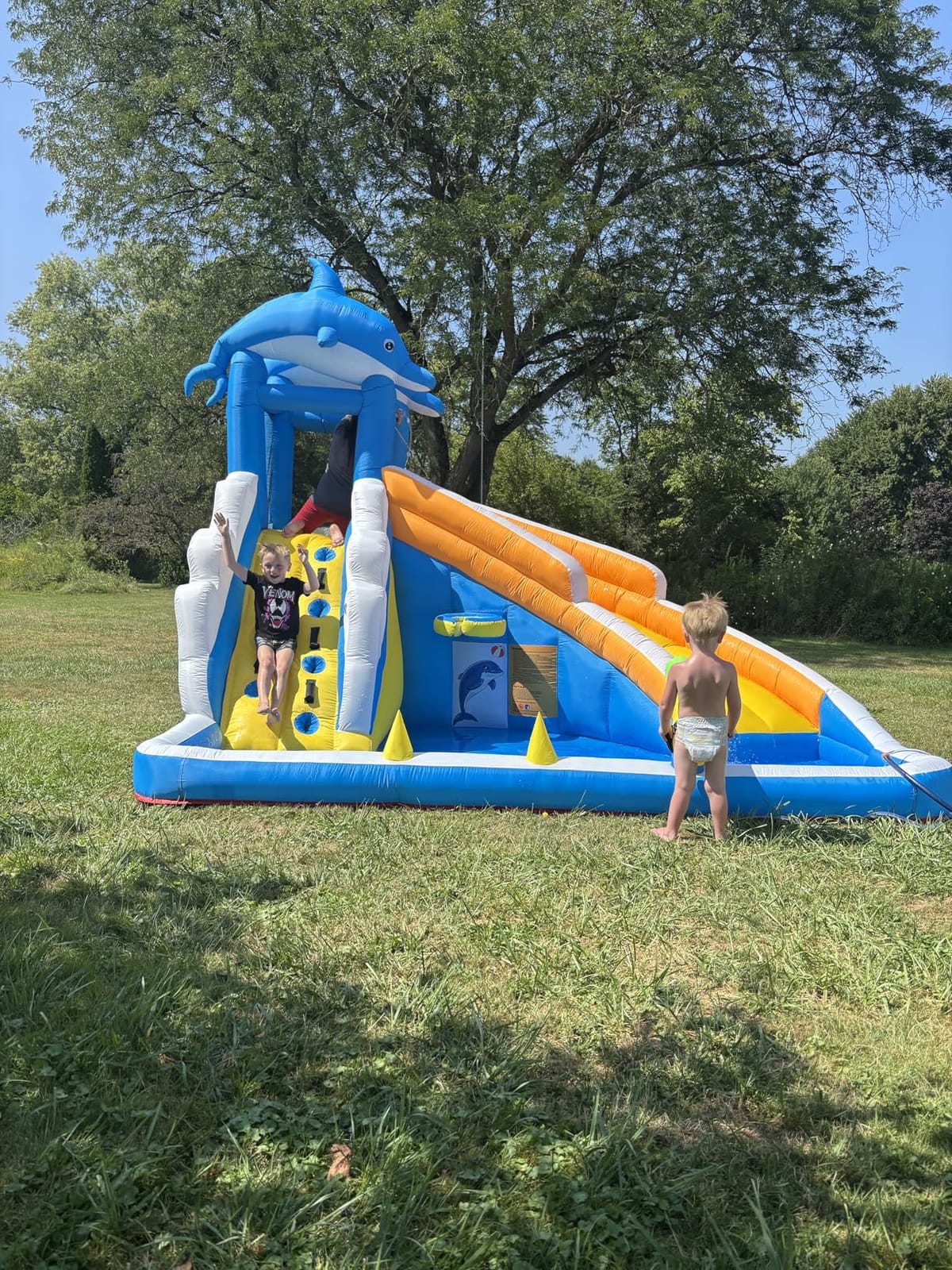 TOAOB Inflatable Water Slide, 5 in 1 Dolphin Inflatable Bounce House for Kids- Climbing Wall Splash Pool Water Cannon Basketball Rim - 480W Blower - for Indoor Outdoor Backyard Birthday Party customer photo 2