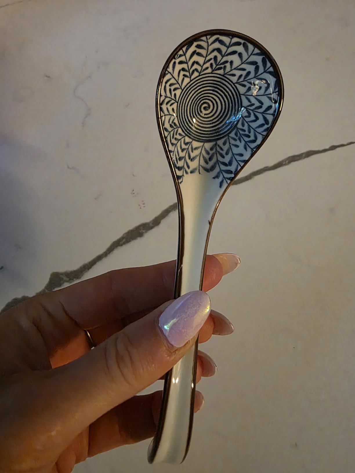 Asian Ceramic Soup Spoon, with Long Handle Easy to Hold, Non-slip Bottom, for Japanese Ramen, Chinese and Vietnamese Wonton, Noodle Soup Spoons (V38) customer photo 1