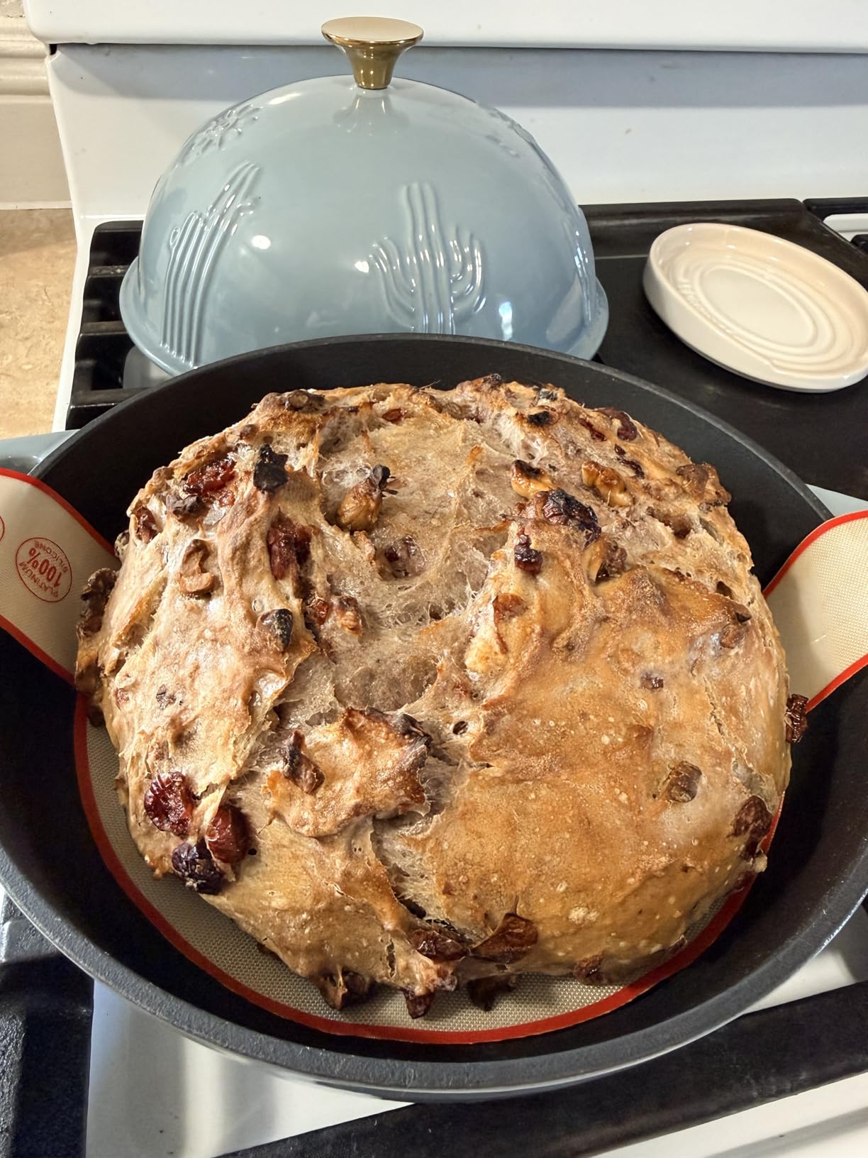 Flavehc Bread Oven Cast Iron Bread Dutch Oven with Cloche Lid for Bread Baking Darkcyan Enameled Cast Iron Bread Oven with Dome Lid for Sourdough, 9.8 Inches customer photo 2