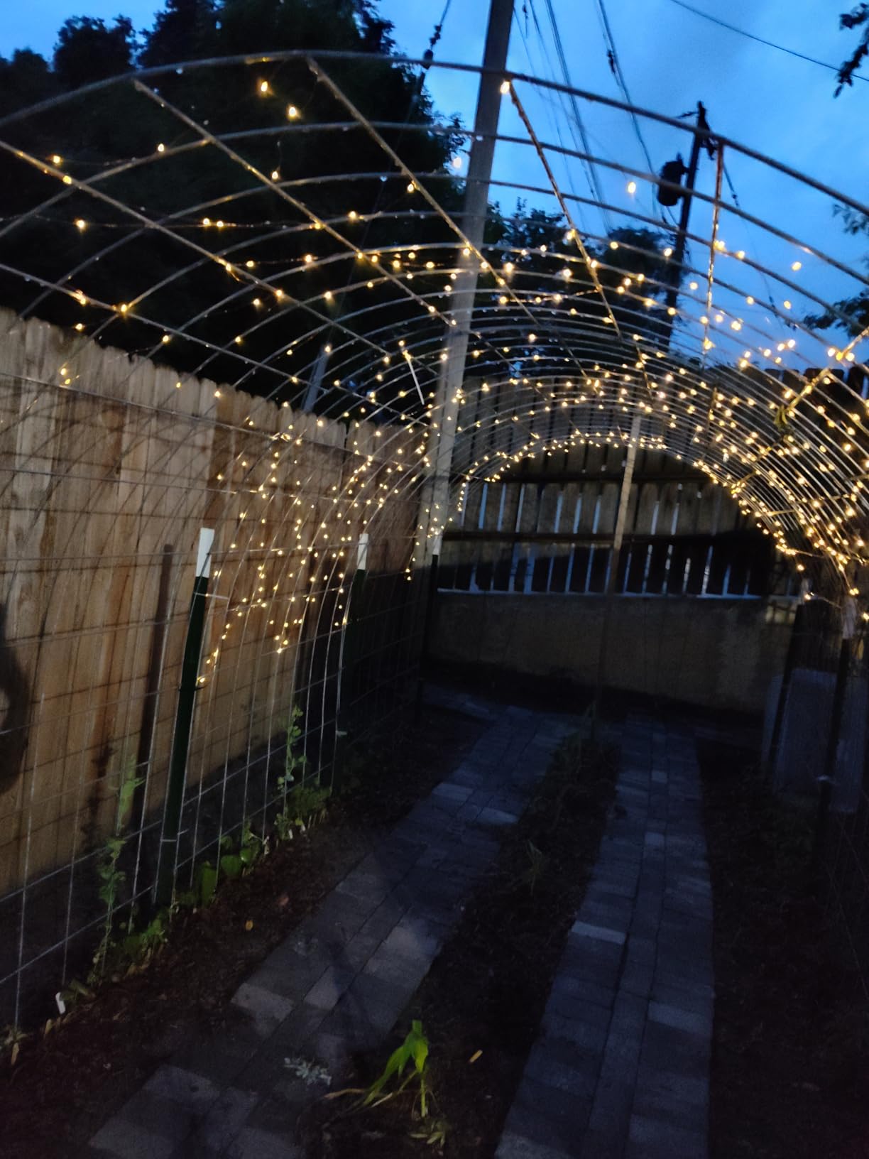 Joomer Solar Fairy Lights, 2-Pack Total 80FT 240LED Lights, Warm White customer photo 1