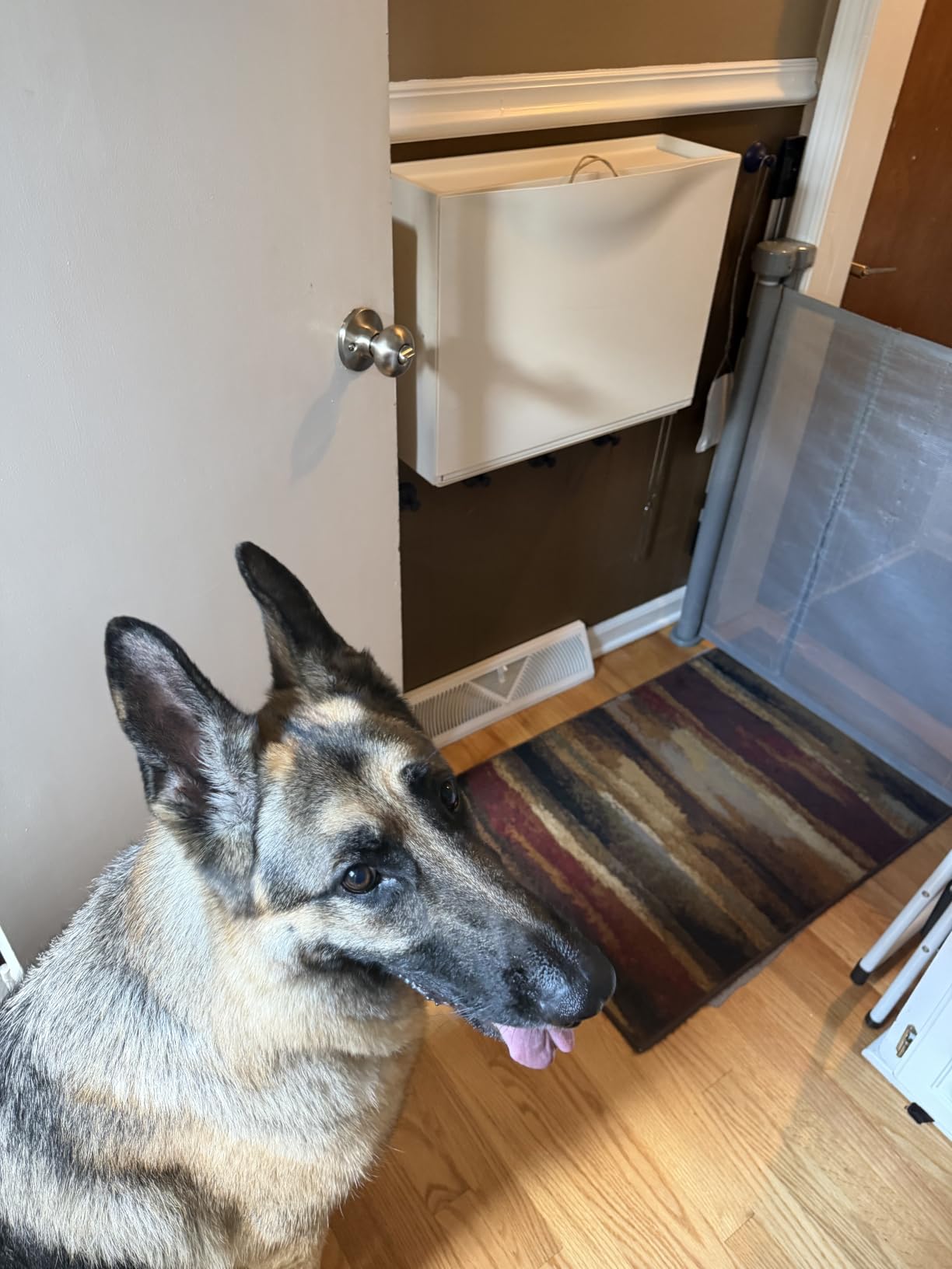 Reinforced 159 Inch Extra Wide Baby Gate for Large Opening with Support Rod, Indoor/Outdoor Retractable Baby Gates Extra Wide, Prevent Babies and Dogs from Crawling Through Retractable Dog Gate, Black customer photo 1