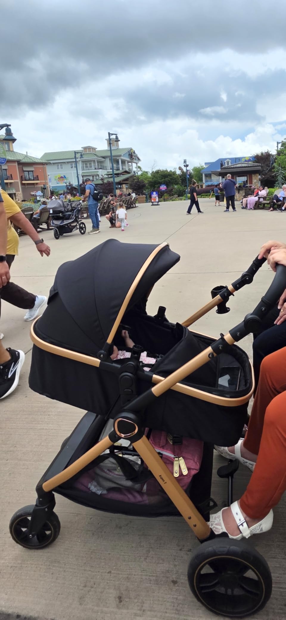 Accombe 2-in-1 Convertible Baby Stroller for Newborn to Toddler customer photo 1