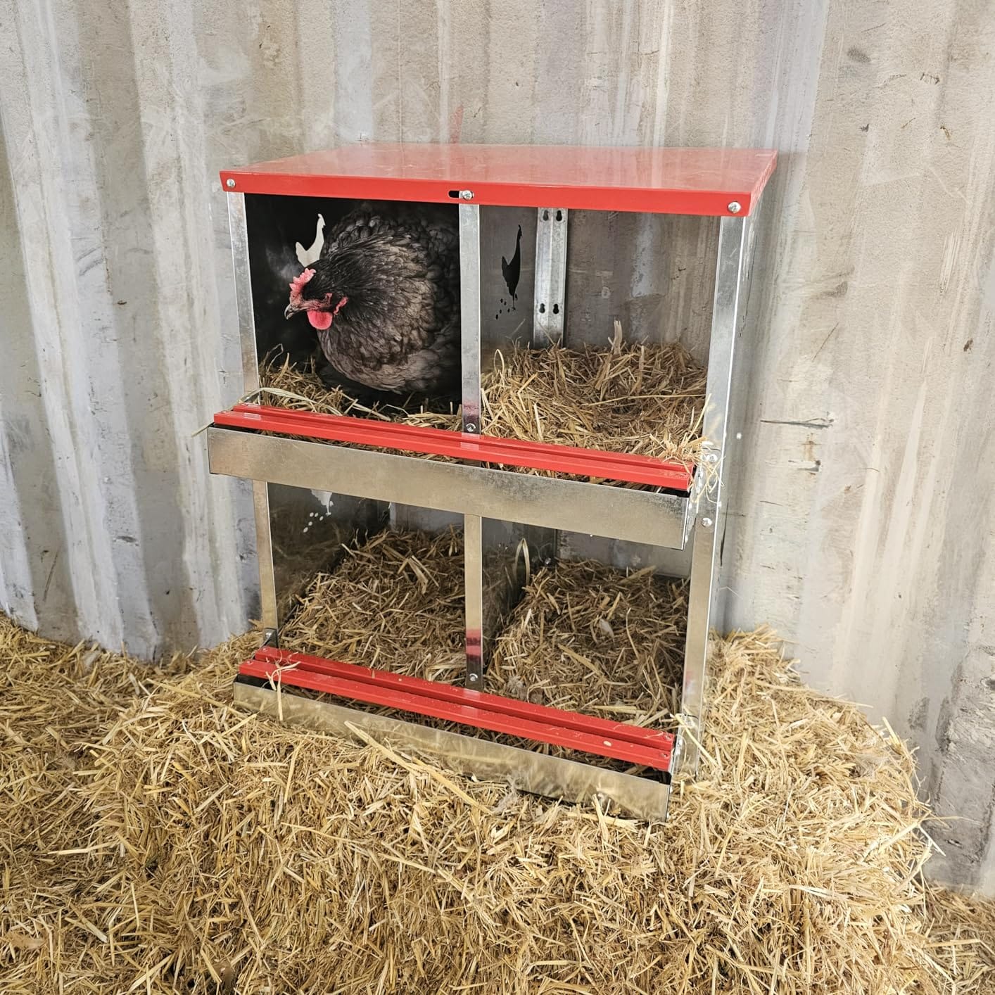 Chicken Nesting Boxes - 10 Compartment Metal Poultry Nest Box Wall Mount for Chickens, Hens, Ducks - Easy Egg Collection - Large Vented Holes Chicken Coop Equipment (10 Compartment) customer photo 1