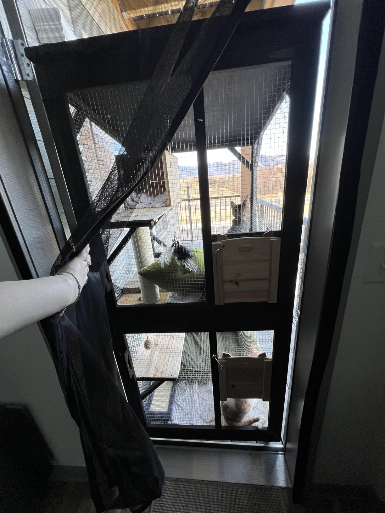 Cat Catio Cat House Outdoor Enclosure Window Large Outside Patio, 4 Wheels | Removable Floor, Scratching Post Sisal Ball Waterproof Roof customer photo 1