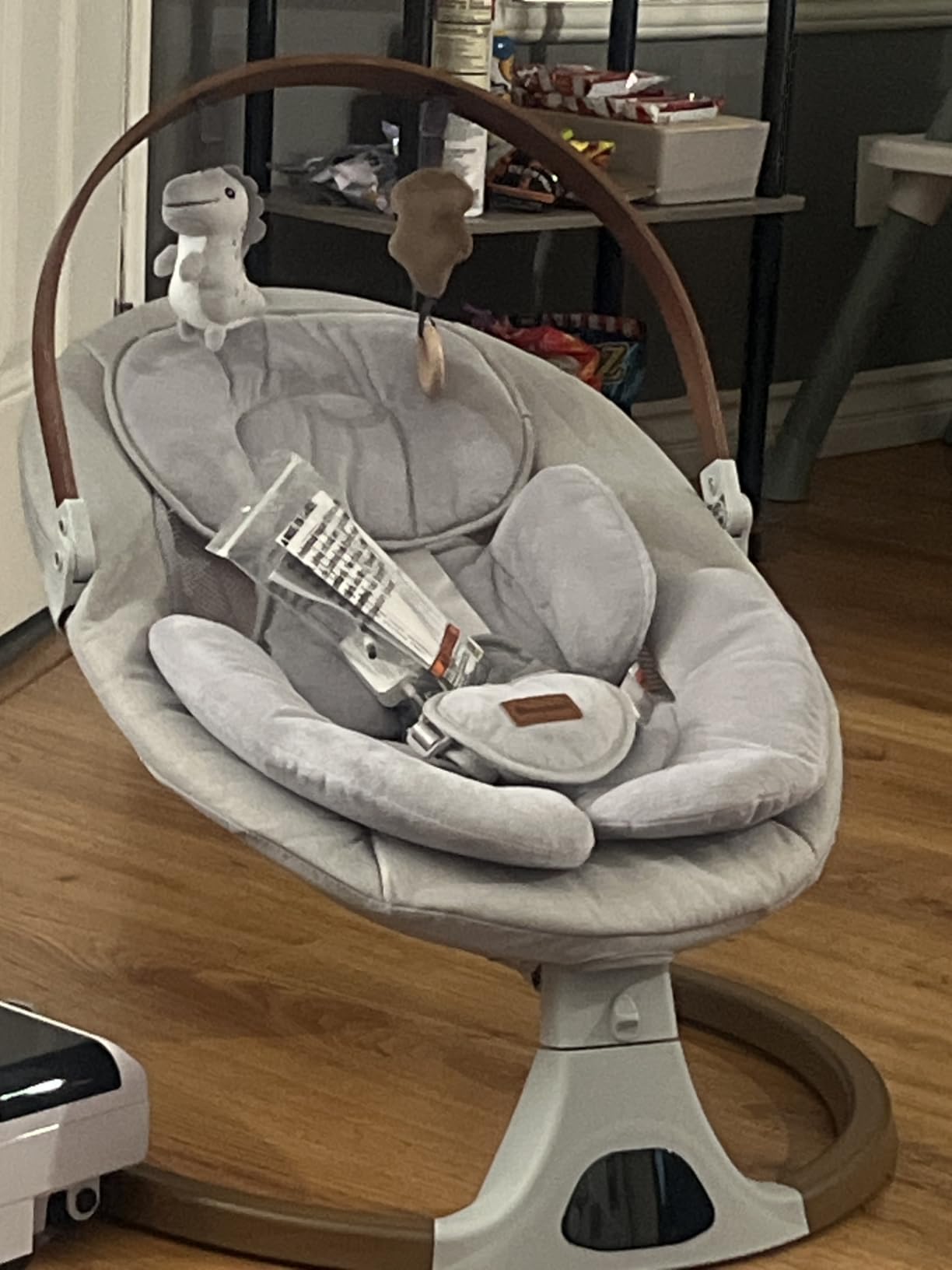 Monamii Baby Swings for Infants, Bluetooth Infant Swing with Music Speaker customer photo 2