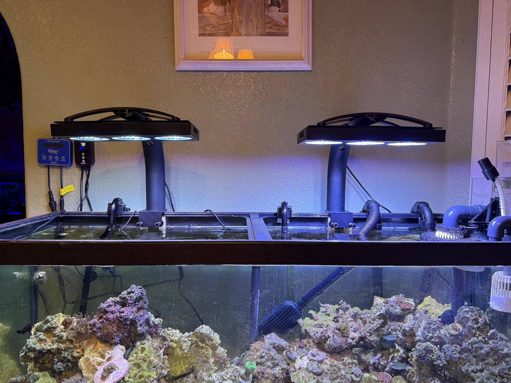 NICREW HyperReef 200 Gen 2 Reef LED Light, 200W Reef Aquarium Lighting for SPS LPS Corals and Saltwater Fish Tanks, Enhanced Violet and Blue Spectrum, Wide Angle Lens, 5 Channels Fully Programmable customer photo 2