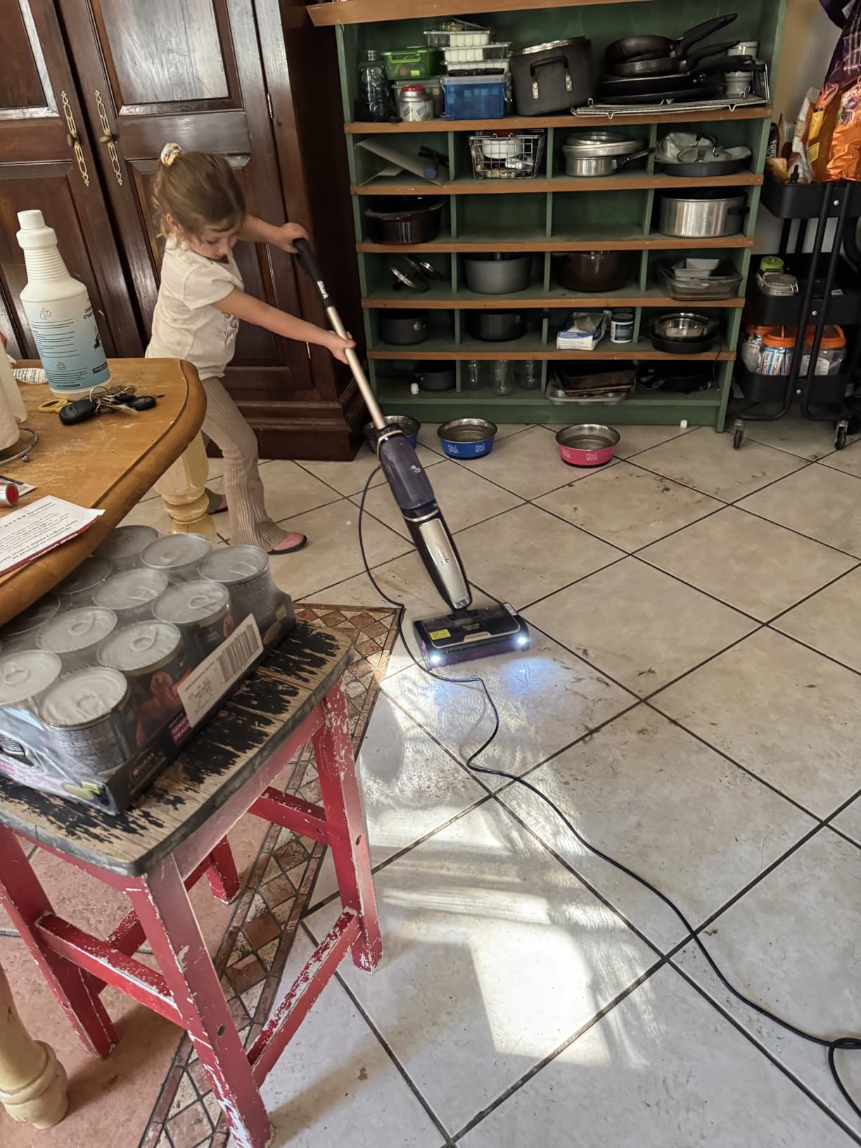 Shark Steam Pickup 3-in-1 Steam Mop for Sealed Hard Floors, SD201 customer photo 1