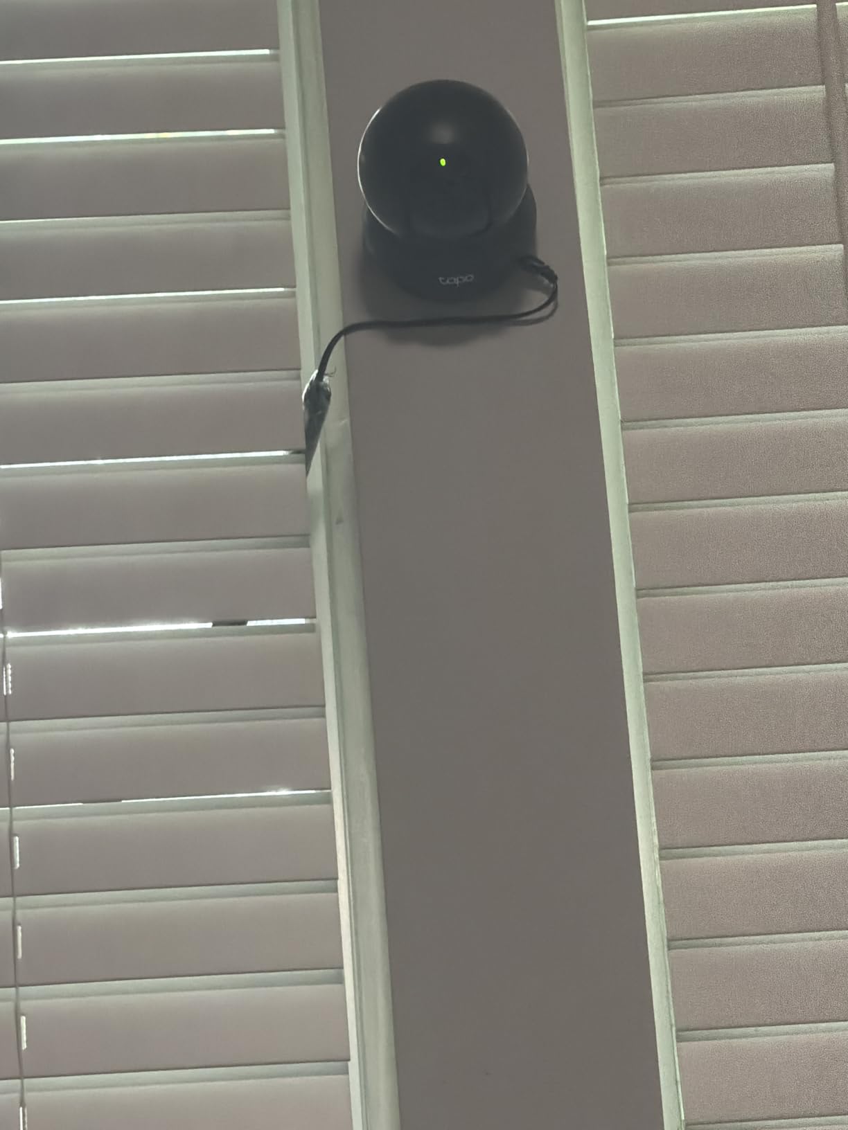 Tapo 1080p Pan/Tilt Security Camera for Baby Monitor, Pet Camera, C201 customer photo 1