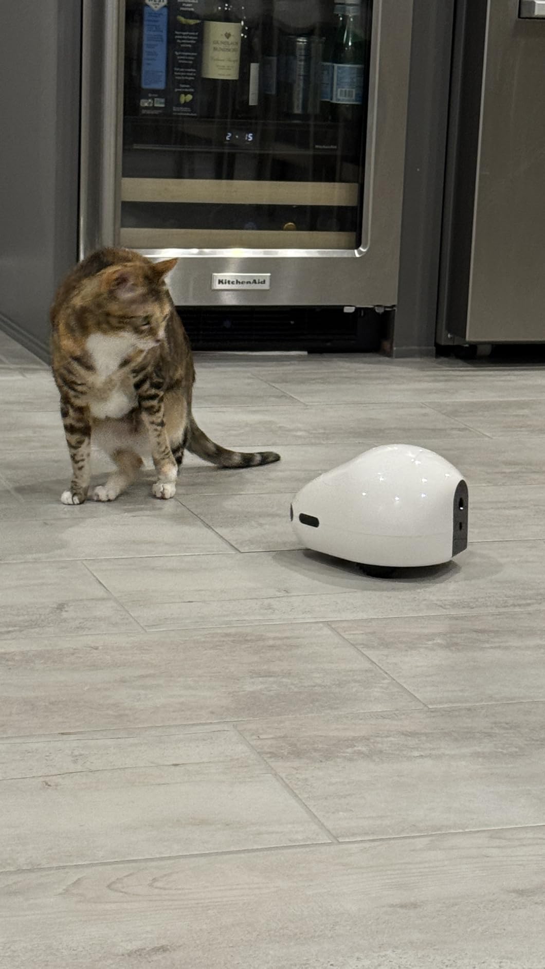 Pet Camera Robot with Treat Dispenser & Laser, Moving Cat Robot Camera for Dogs and Cats with Two-Way Audio, App Remote Control, Auto Recharge, Night Vision customer photo 2
