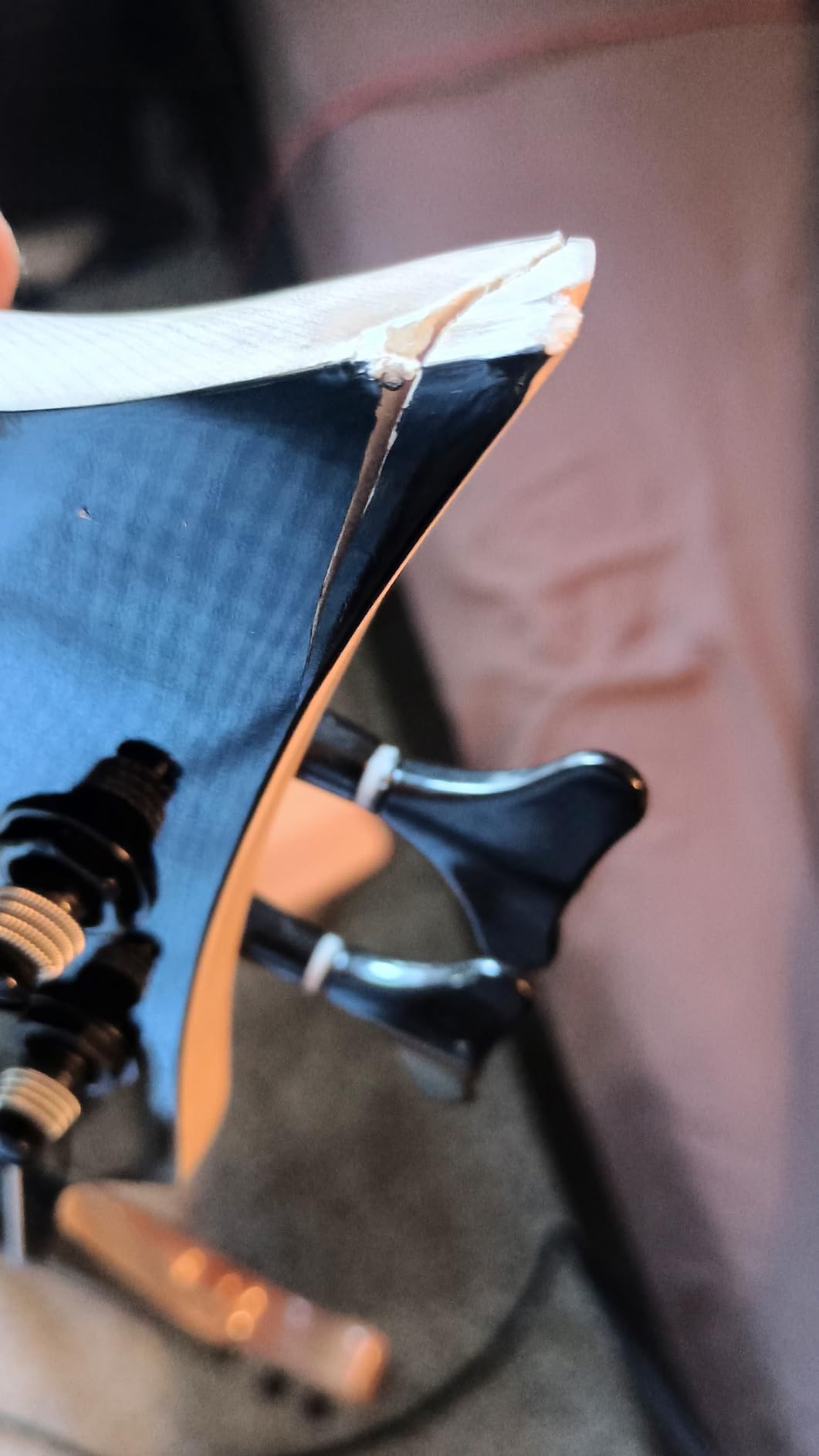 TARIO Fretless 6 String Electric Bass Bolt_On Maple Neck,basswood Body customer photo 2