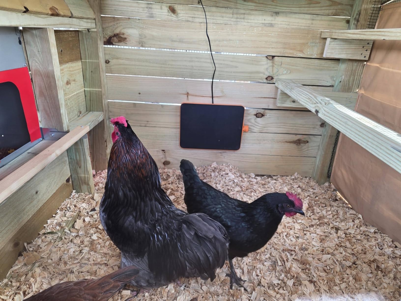 Smart Chicken Coop Heater, 200W Radiant Heat Panel with Temperature Sensor customer photo 1