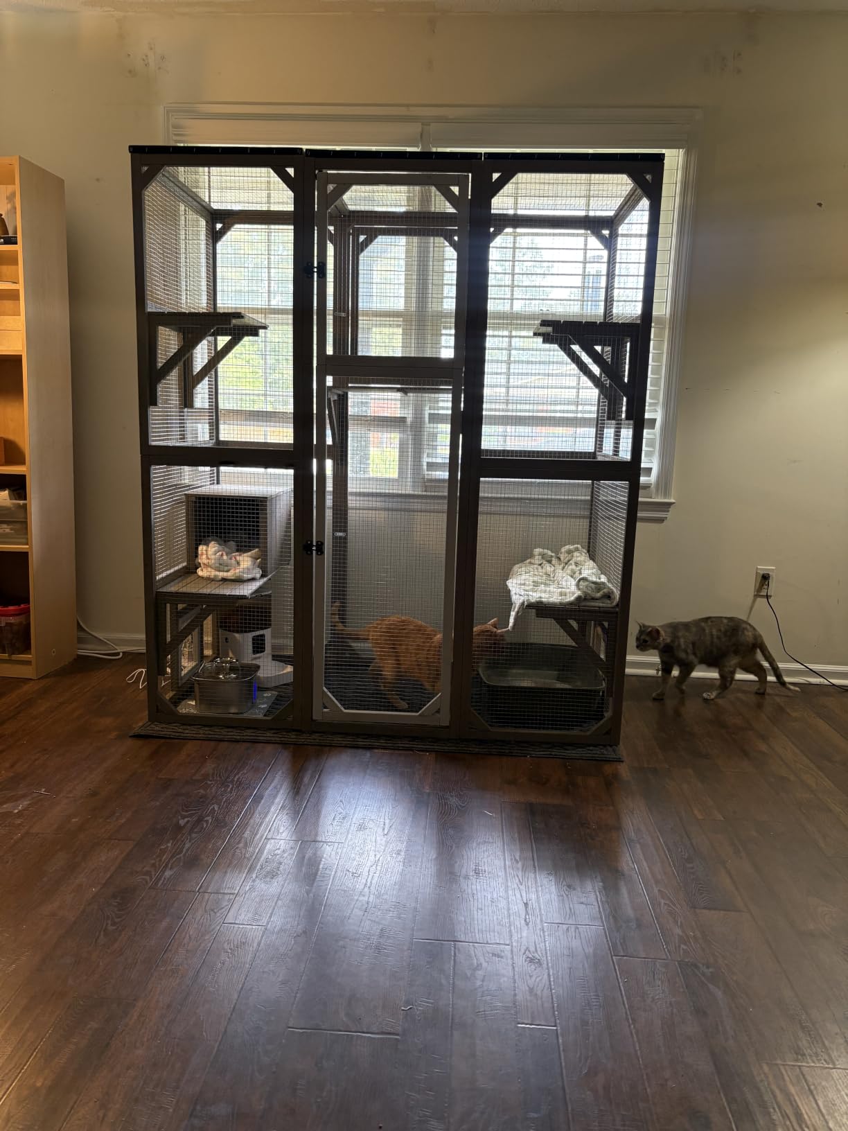 Ketive Catio Outdoor Cat Enclosure with Window Access & Weatherproof Roof | Walk-In Catio, Window Access, Multi-Level Design, Weatherproof Roof, Large Cat Enclosure, Outdoor Cat House, Multiple Cats customer photo 2