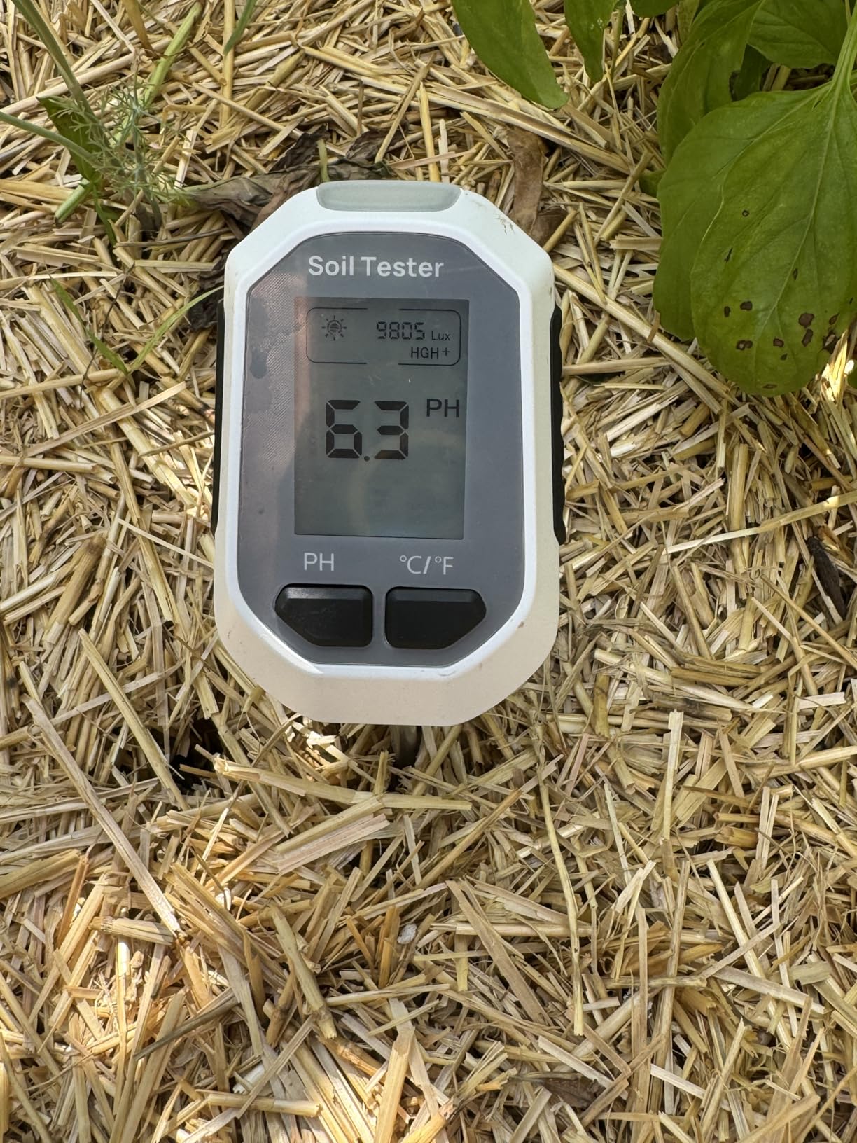 YAMRON 4-in-1 Soil Moisture Meter Digital Plant Temperature/Soil Moisture/pH Meter/Sunlight Intensity Backlight LCD Display Soil Test Meter for Gardening, Farming and Outdoor Plants customer photo 2