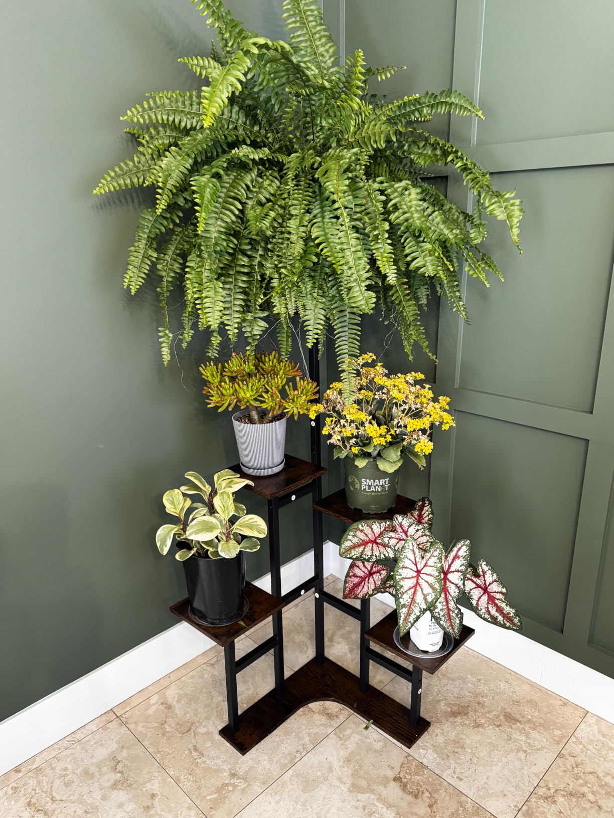 Yzosvki Corner Plant Stand Indoor 6 Tiered Corner Plant Shelf | Flower Stand for Multiple Plants, Plant Shelves Organizer Rack for Living Room, Balcony, Patio, Garden, Rustic Brown customer photo 1